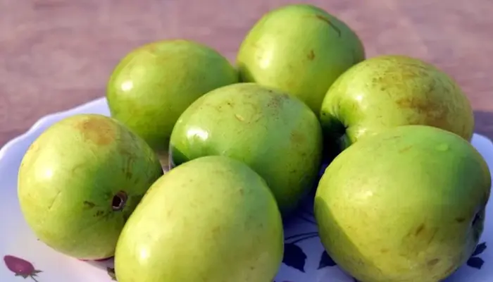 15 Senarai Khasiat Buah Bidara dan Nutrisi