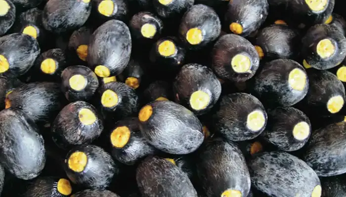 14 Khasiat Buah Dabai dan Kandungan Nutrisi