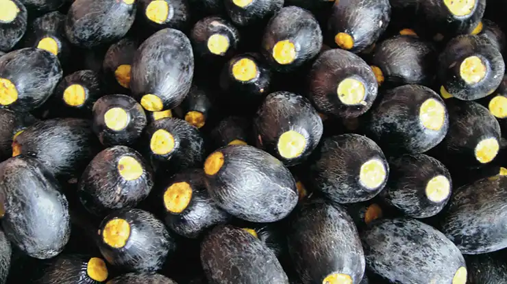 Khasiat Buah Dabai
