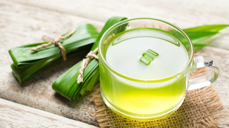 Khasiat Daun Pandan Rebus