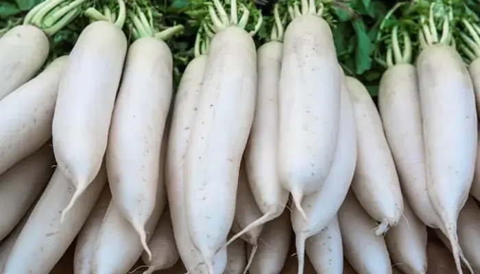 15 Khasiat Lobak Putih dan Kandungan Nutrisi