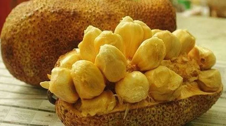 Beza Cempedak dan Nangka