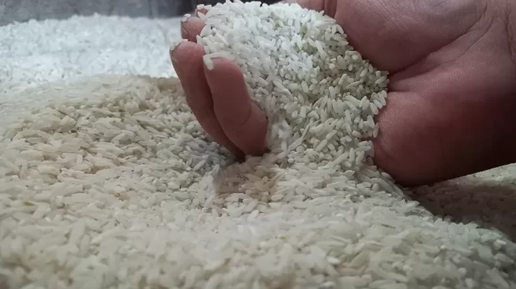 Harga Beras Cap Ayam