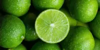 Harga Limau Nipis Hari Ini di Malaysia 2026