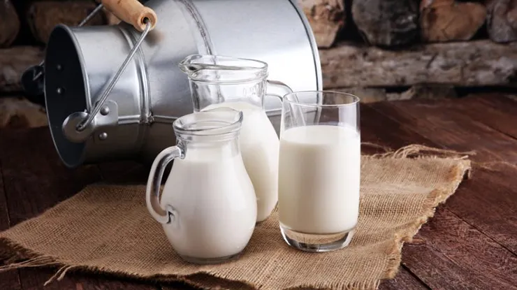 Harga Susu Kambing Segar 1 Liter