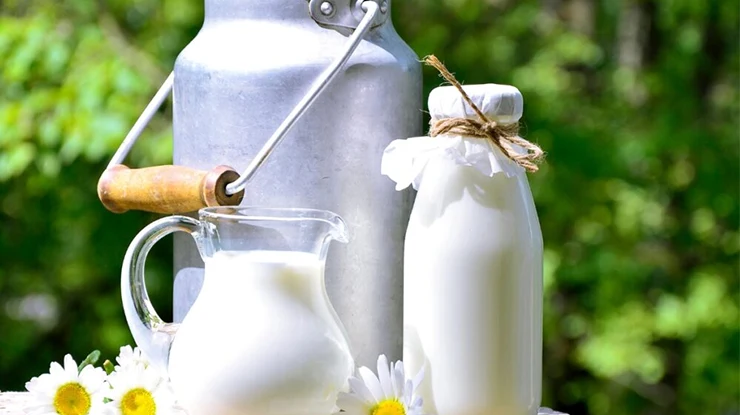 Harga Susu Sapi Segar 1 Liter