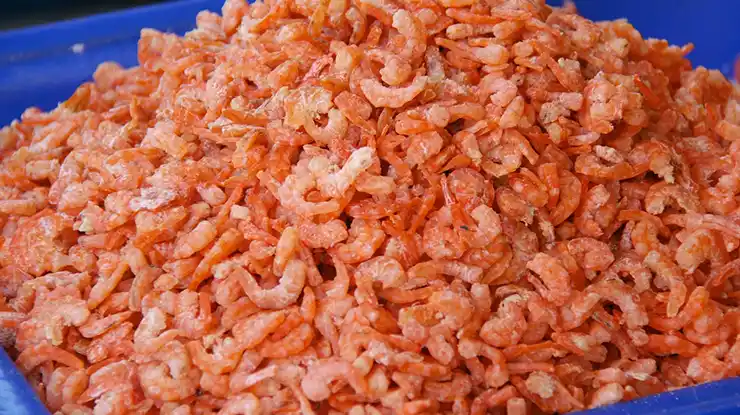Harga Udang Kering Sekilo