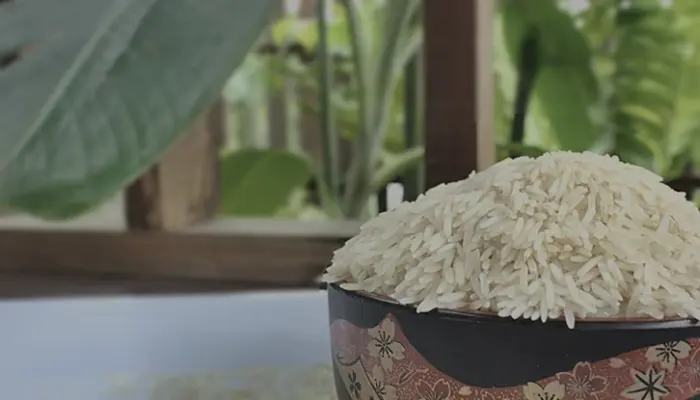 Harga Beras Jasmine Terkini 2026: 1Kg, 5Kg dan 10Kg