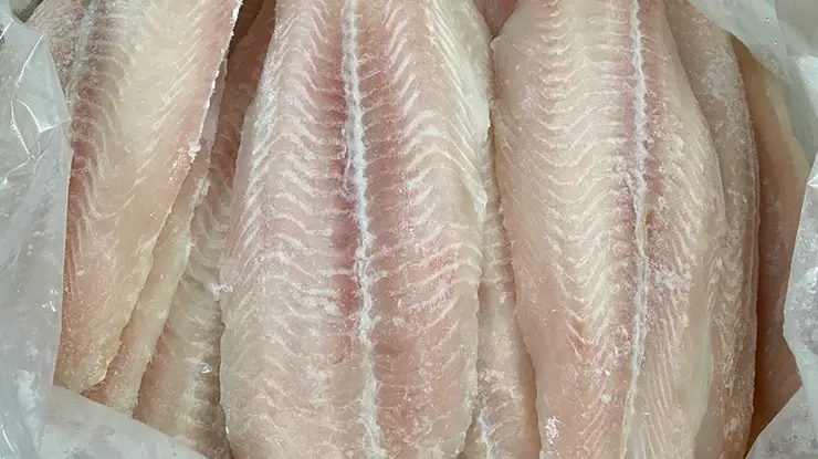 Harga Ikan Dori Fillet