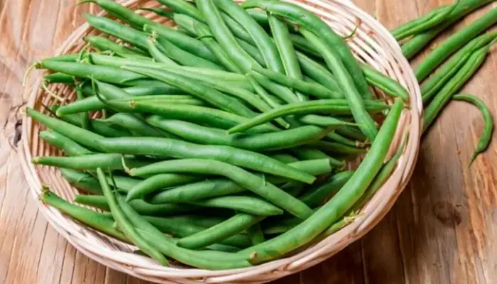 Harga Kacang Buncis Hari Ini di Malaysia 2026