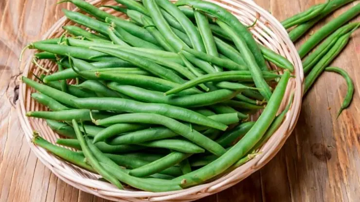 Harga Kacang Buncis