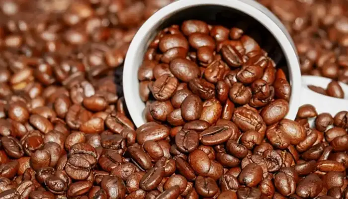 Harga Biji Kopi Arabika 2026: 100g, 500g dan 1kg