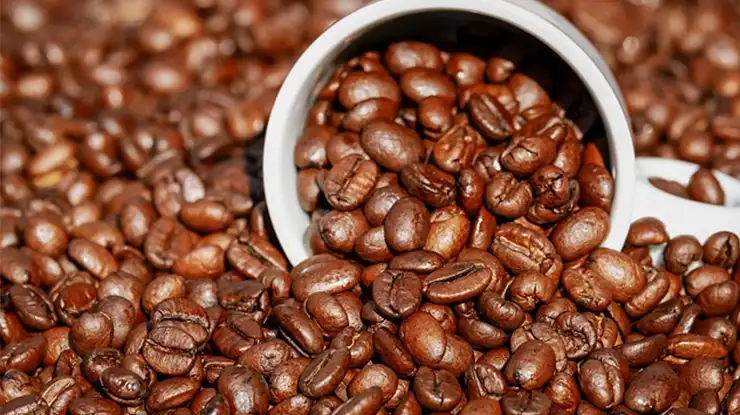 Harga Biji Kopi Arabika di Malaysia