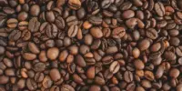 Harga Biji Kopi Robusta Hari Ini di Malaysia 2026