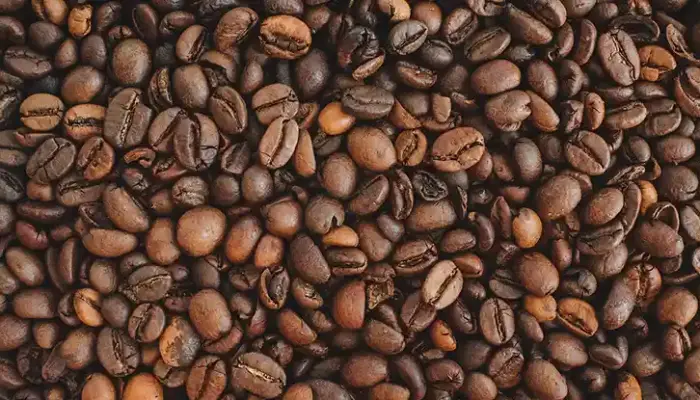 Harga Biji Kopi Robusta Hari Ini di Malaysia 2026
