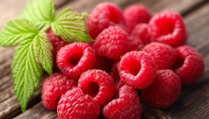 Harga Buah Raspberry Segar Per kg Terkini 2026