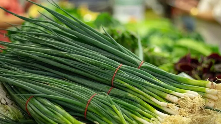 Harga Daun Bawang Terkini