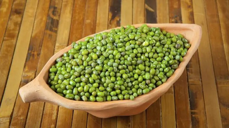 Harga Kacang Hijau di Malaysia