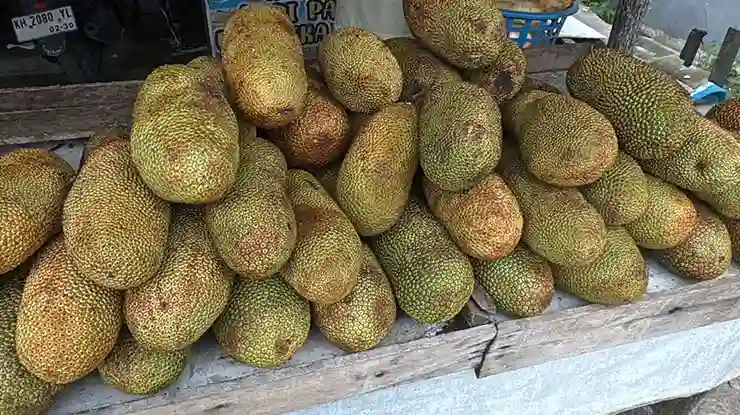 Harga Cempedak Sekilo Terkini
