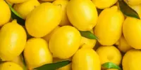Harga Lemon Sekilo Terkini 2026: Lokal dan Import