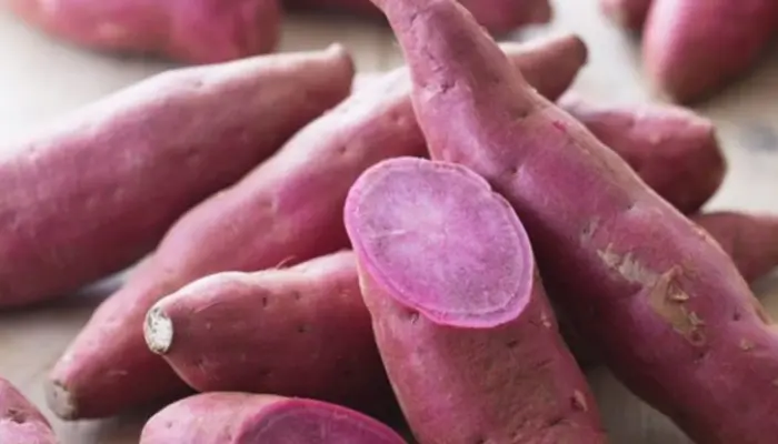 Harga Ubi Keledek Sekilo 2026: Oren, Ungu dan Putih