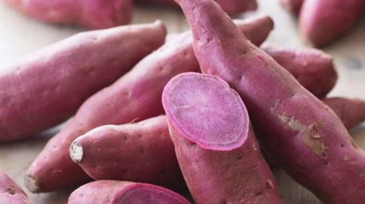 Harga Ubi Keledek Sekilo