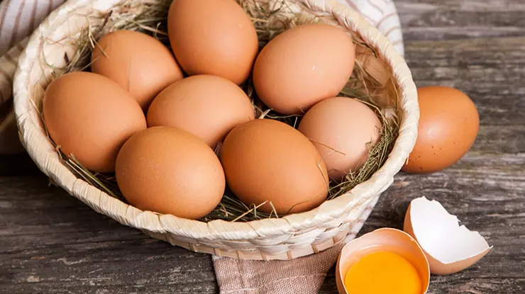 Anggaran Sekilo Berapa Butir Telur Ayam di Malaysia