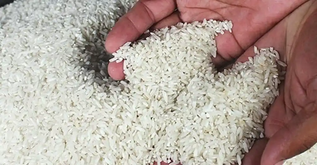 Jenis Beras TKC yang Popular di Malaysia