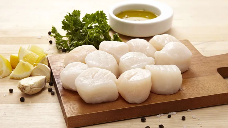 Julat Harga Scallop Per Kg di Malaysia