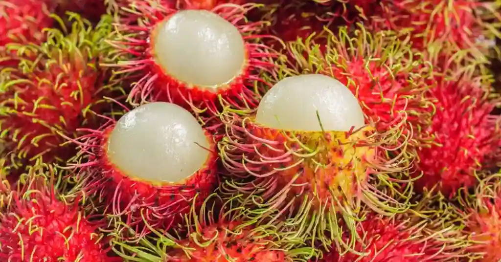 Faktor yang Mempengaruhi Harga Rambutan Sekilo