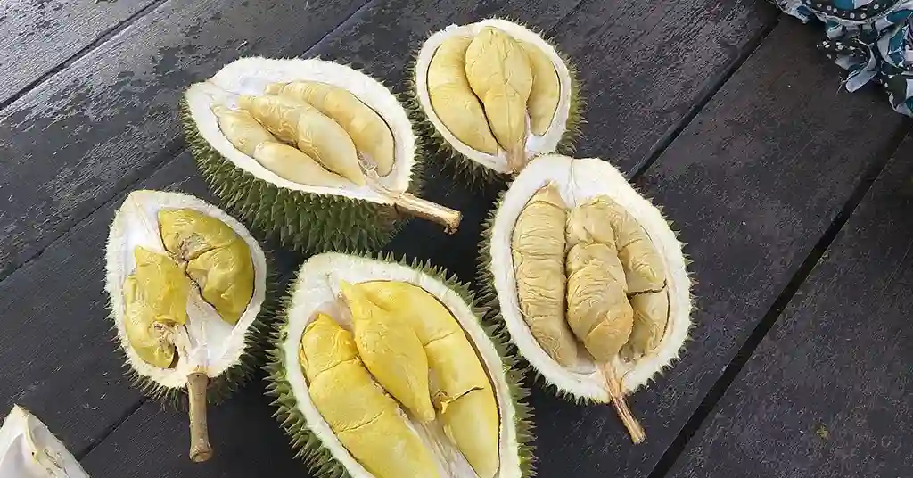 Harga Durian Kampung Mengikut Negeri