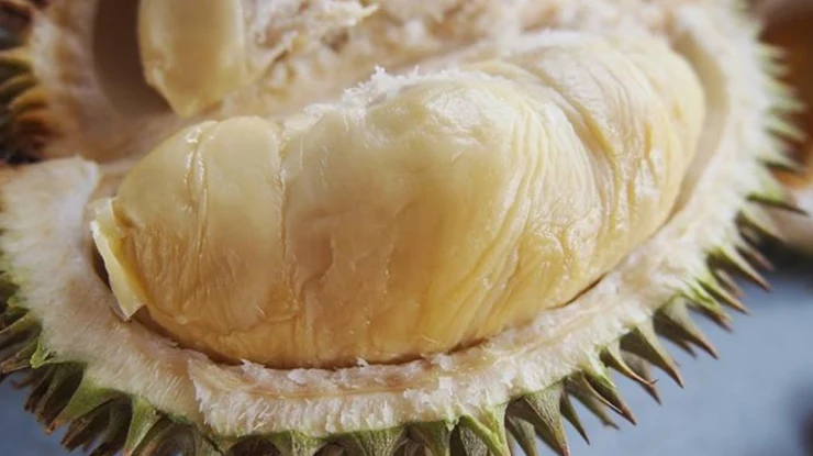 Harga Durian Kampung