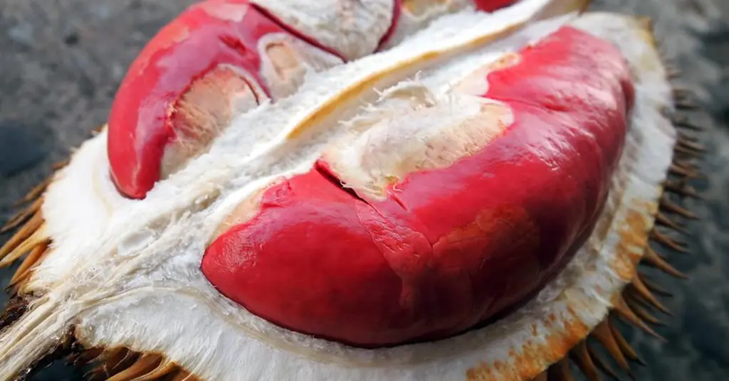 Harga Isi Durian Udang Merah dan Produk Berasaskan D175