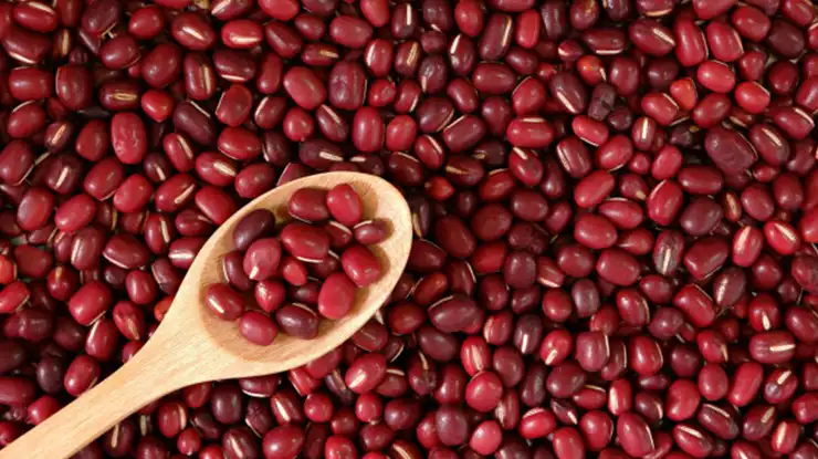 Harga Kacang Merah 1 Kg