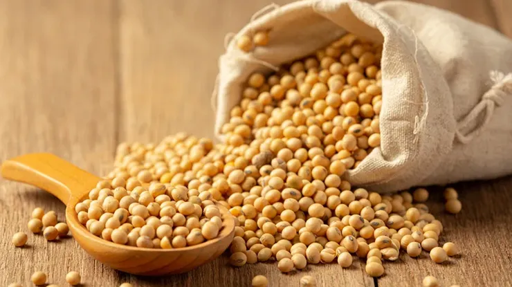 Harga Kacang Soya 1kg