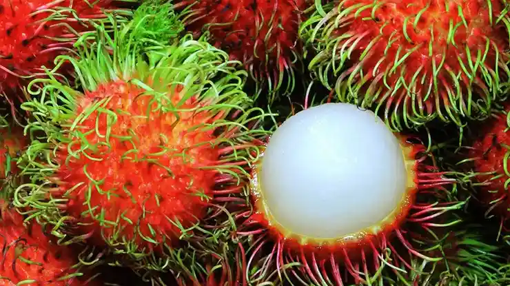 Harga Rambutan Sekilo